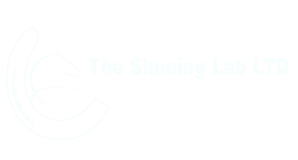 The Shoeing Lab